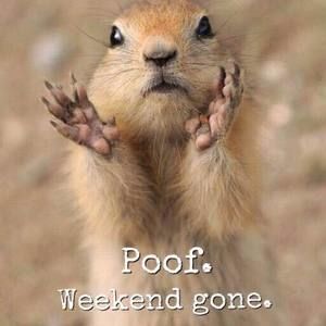 Meet your Posher, Barbara